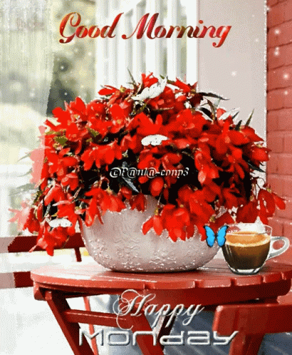 Monday Good Morning Butterfly Flowers GIF