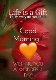 Monday Morning Blessings Good Monday Morning Blessings Meme GIF