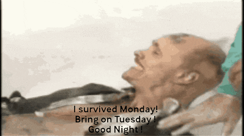 Monday Survival Is Real Goodnight Gif GIF