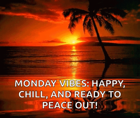 Monday Vibes : Happy , Chill , And Ready To Peace Out GIF