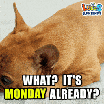 Monday Weekday Gif GIF