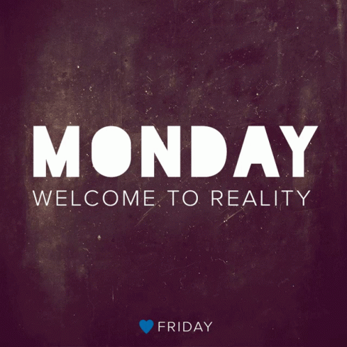 Monday Welcome To Reality GIF