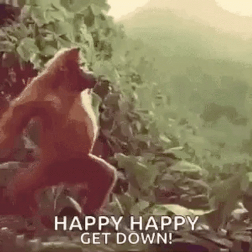 Moneky Dancing Happy Happy Joy Joy Get Down GIF