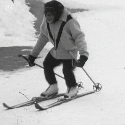 Money Know How To Ski Also GIF