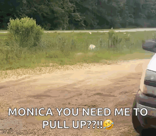 Monica You Need Me To Pull Up GIF
