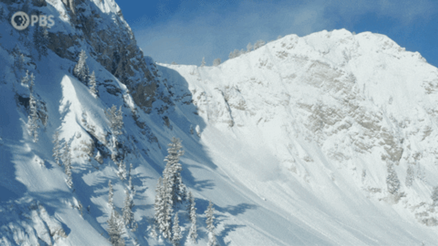 Monitoring Avalanche GIF