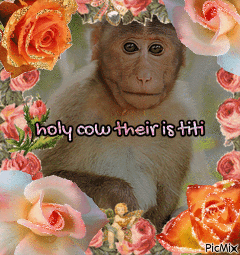 Monkey Among Flowers Holy Cow Their Is Titi