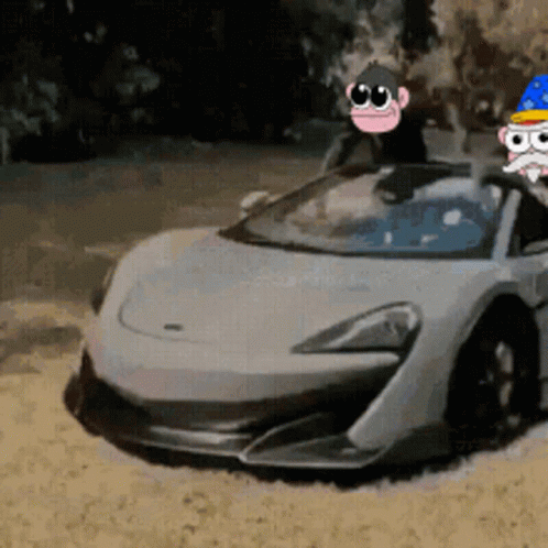 Monkey and Cat in Sports Car
