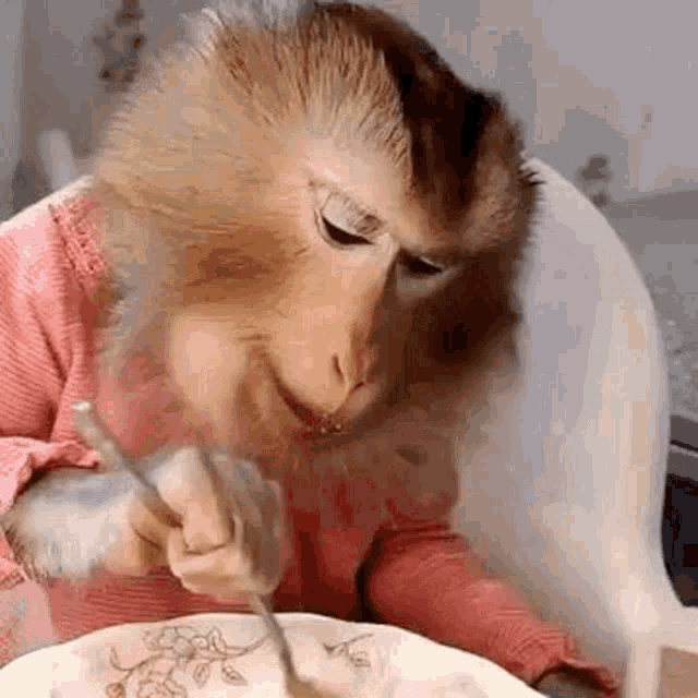 Monkey Appetizing Meal GIF
