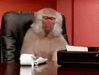 Monkey As An Accountant Printing Receipt GIF