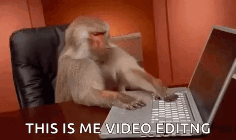 Monkey at Desk Using Computer Mouse