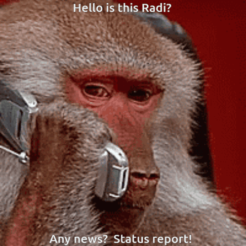 Monkey Baboon Phone Call Meme GIF