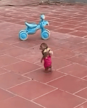 Monkey Baby Monkey Gif GIF