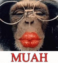 Monkey Big Kiss Muah GIF