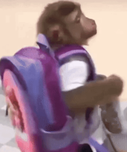 Monkey Carrying Pink Backpack GIF