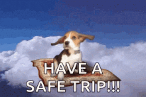 Monkey Carrying Suitcase and Ticket