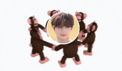Monkey Circle Aira GIF