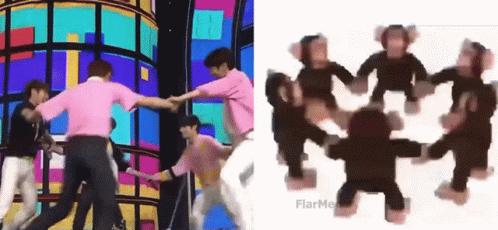Monkey Circle Bobatyun GIF