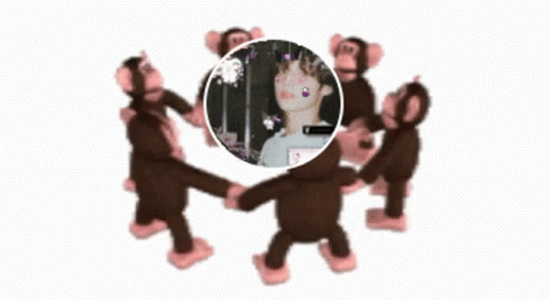 Monkey Circle Brunette Hyuka GIF