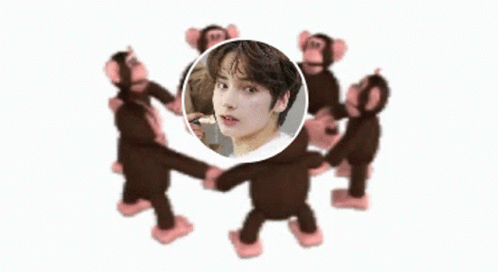 Monkey Circle Brunette Kai Super Cute GIF
