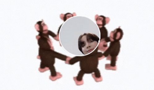 Monkey Circle Hyuka GIF