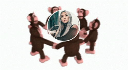 Monkey Circle Lee Chaerin GIF