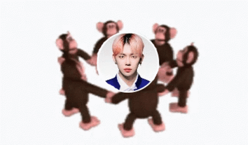 Monkey Circle Pink Junie GIF