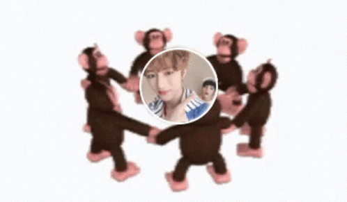 Monkey Circle GIF