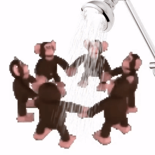 Monkey Circle Shower GIF