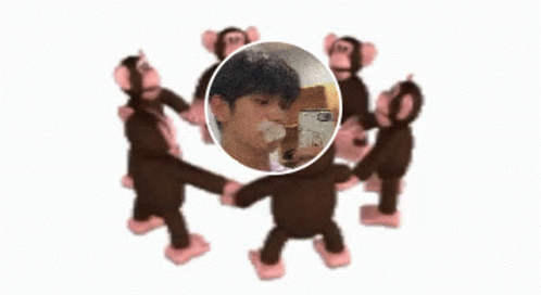 Monkey Circle Soobin Mirror Selfie GIF