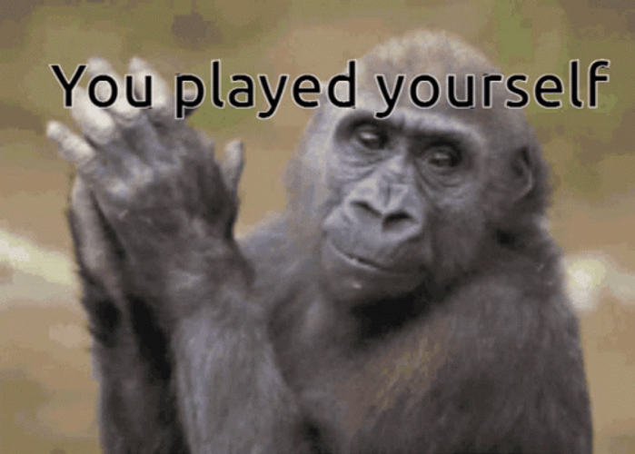 Monkey Clapping You Played Yourself GIF