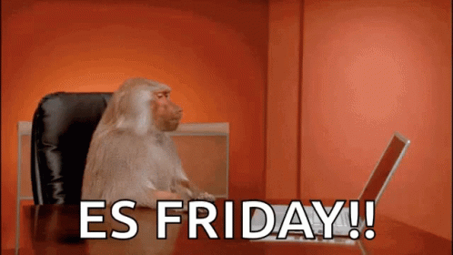 Monkey Computer Es Friday GIF