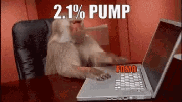 Monkey Computer Fomo Pump GIF