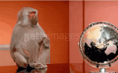 Monkey Computer Globe Thrown Away GIF
