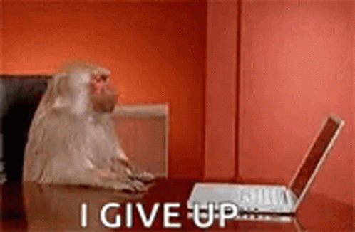 Monkey Computer I Give Up GIF