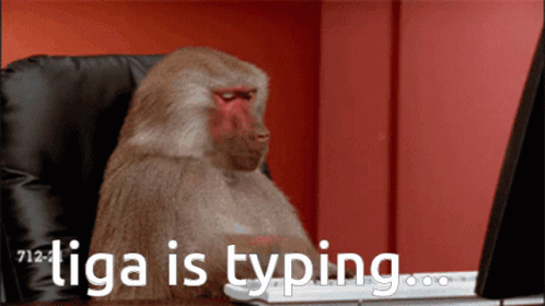 Monkey Computer Liga Is Typing GIF
