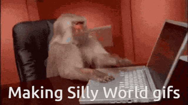 Monkey Computer Making Silly World GIF