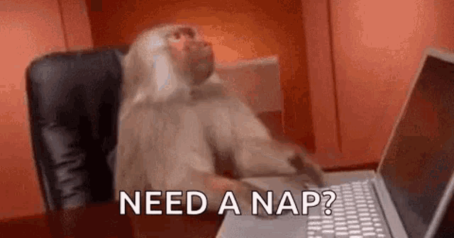 Monkey Computer Need A Nap GIF