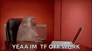 Monkey Computer Off To Work GIF