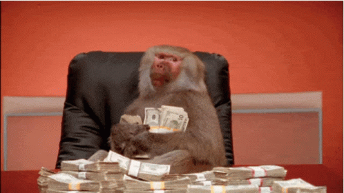 Monkey Computer Rich In Cash GIF