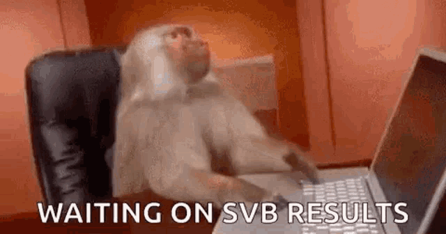 Monkey Computer Waiting On Svb Results GIF