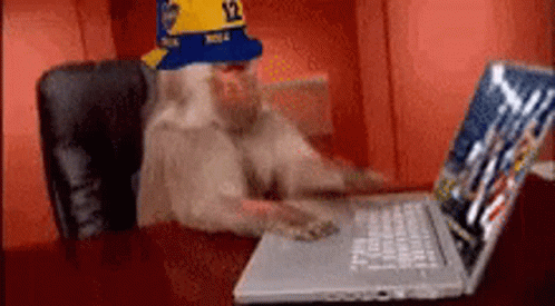 Monkey Computer Wearing Hat GIF