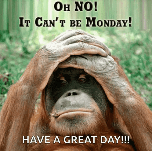Monkey Covering Face Saying Oh No It Can't Be Monday
