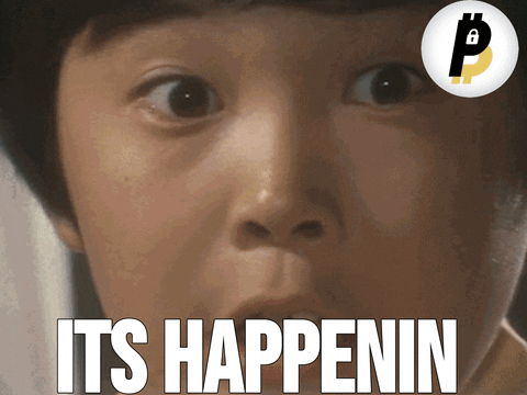 Monkey Crypto Slide Show Meme GIF