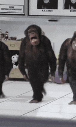 Monkey Dance Funny Gif GIF