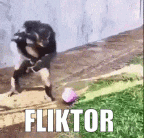 Monkey Dancing Backwards Fliktor GIF