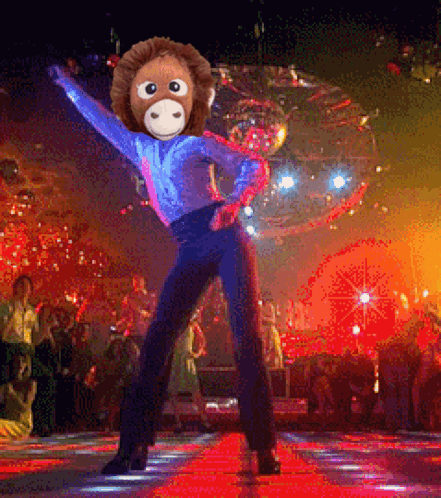 Monkey Dancing In Front Of Disco Ball In Club GIF