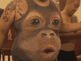 Monkey Dancing On Sando Shirt Tummy GIF