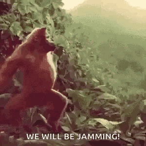 Monkey Dancing We Will Be Jamming GIF