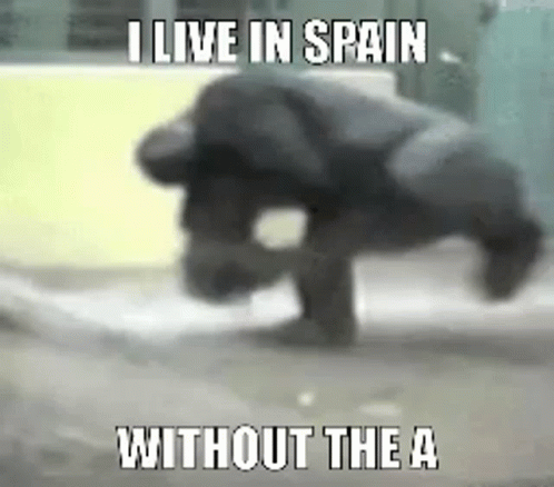 Monkey Doing Handstand Saying I Live in Spain Without the A